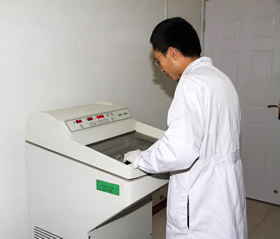 ������Ƭ��